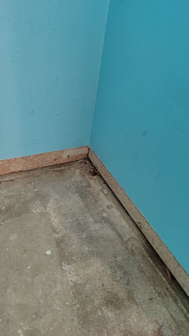 Mold Remediation by Accountable Home Services