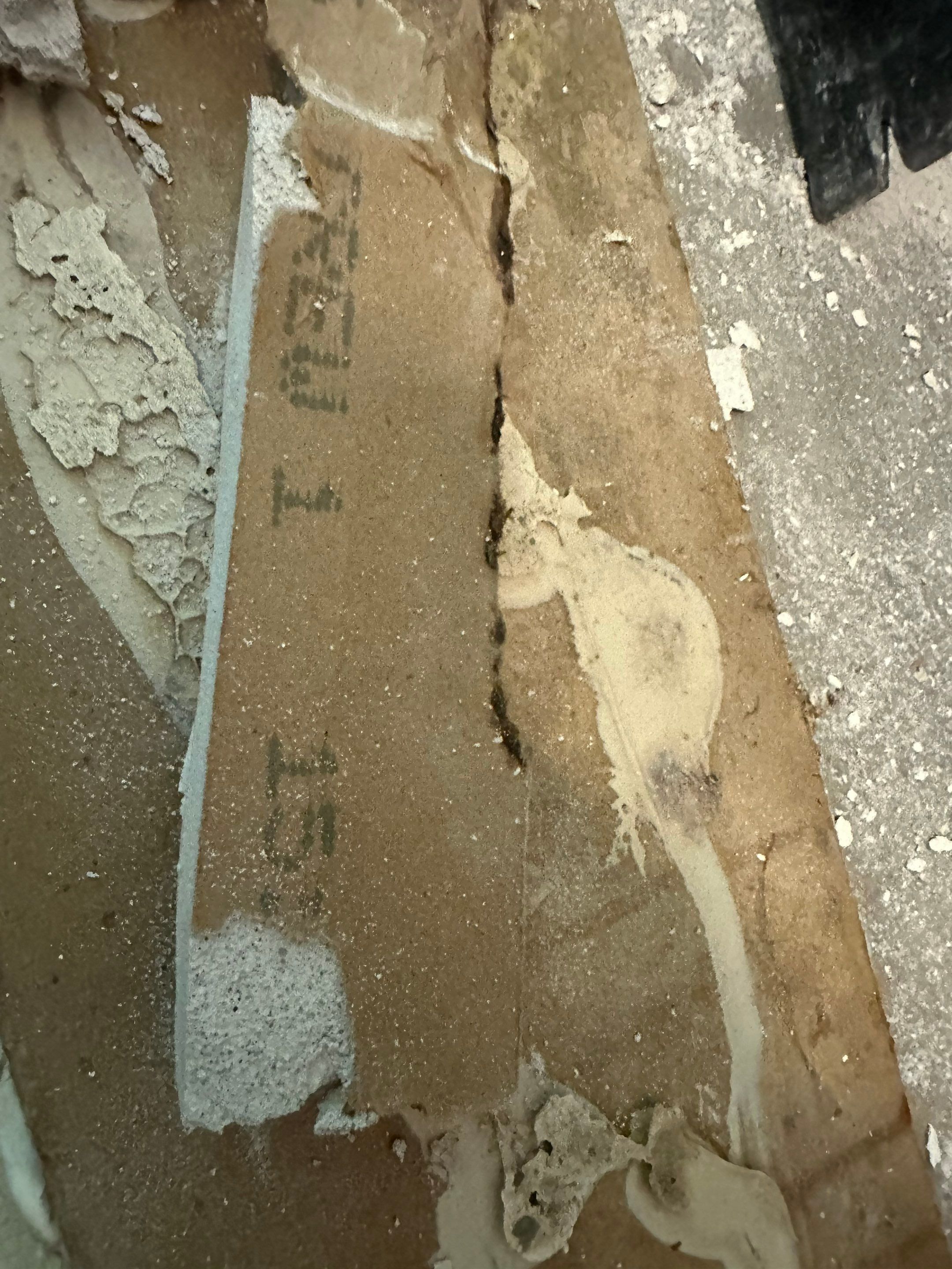 Water Damage in Denver, CO by Alpha Restoration 