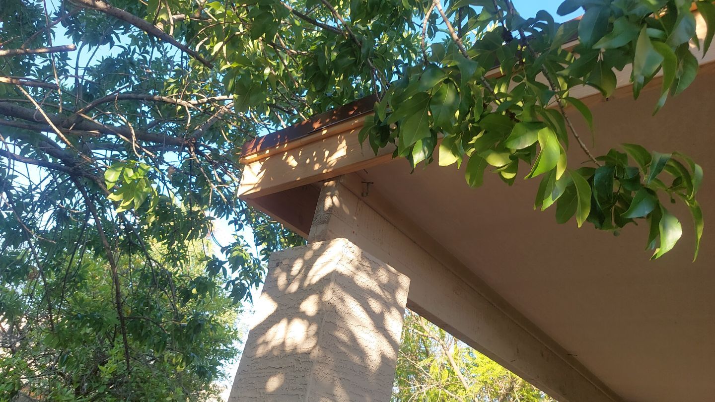 Exterior Painting - Gilbert by Crash of Rhinos Painting & Garage Floors