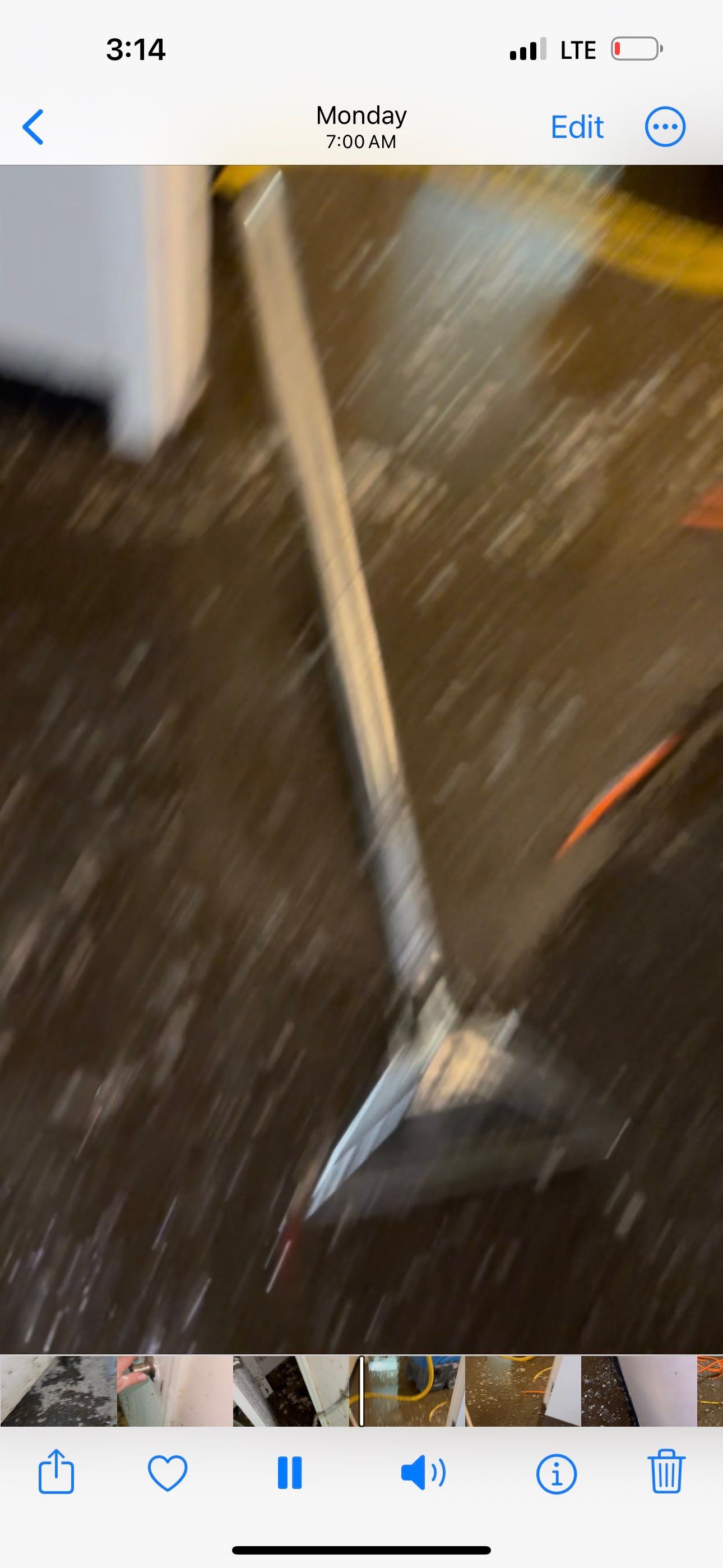 LCCR by BlueRed Restoration