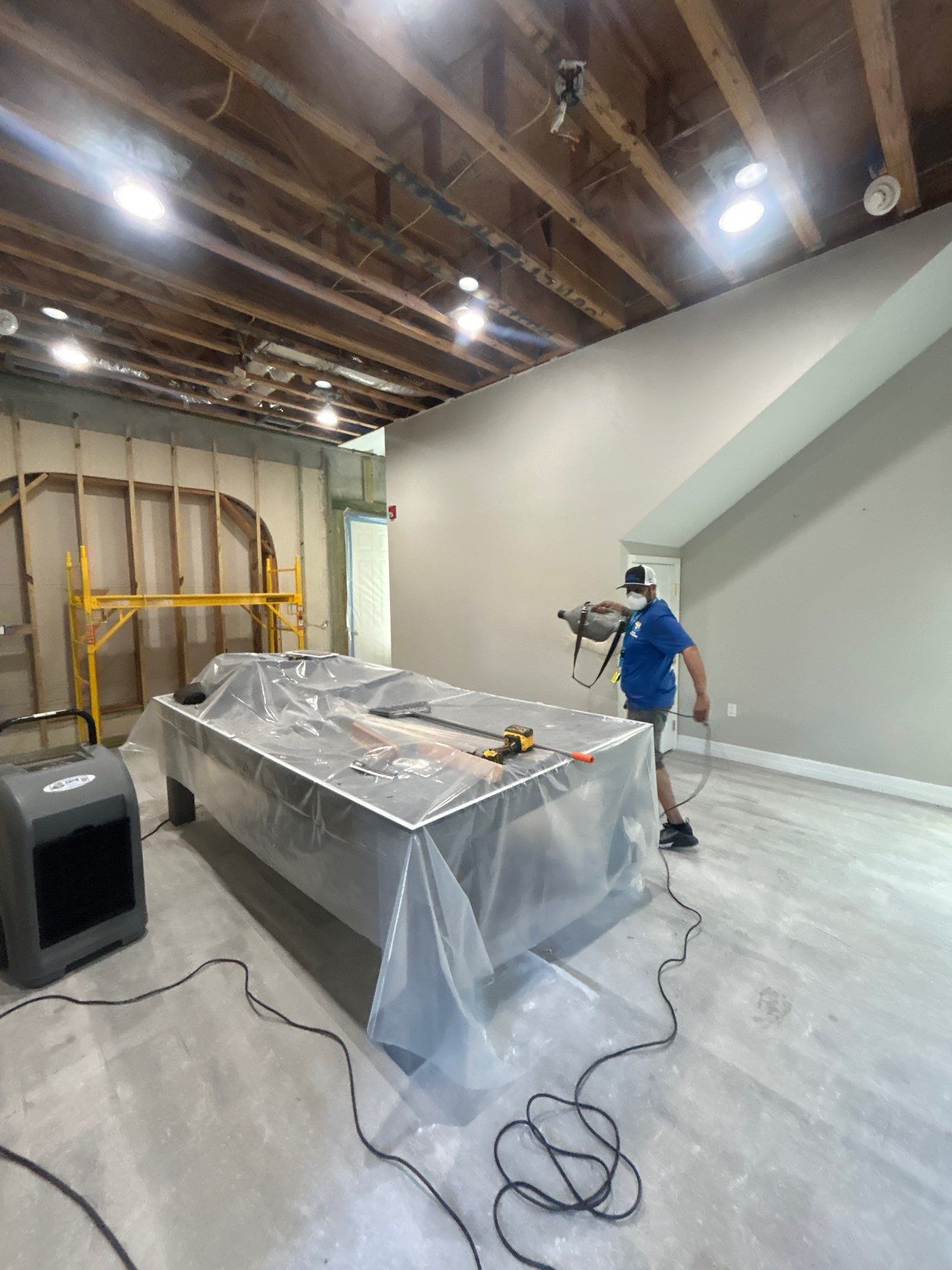 Mold Removal & Remediation In Sarasota by Ampm Restoration Services