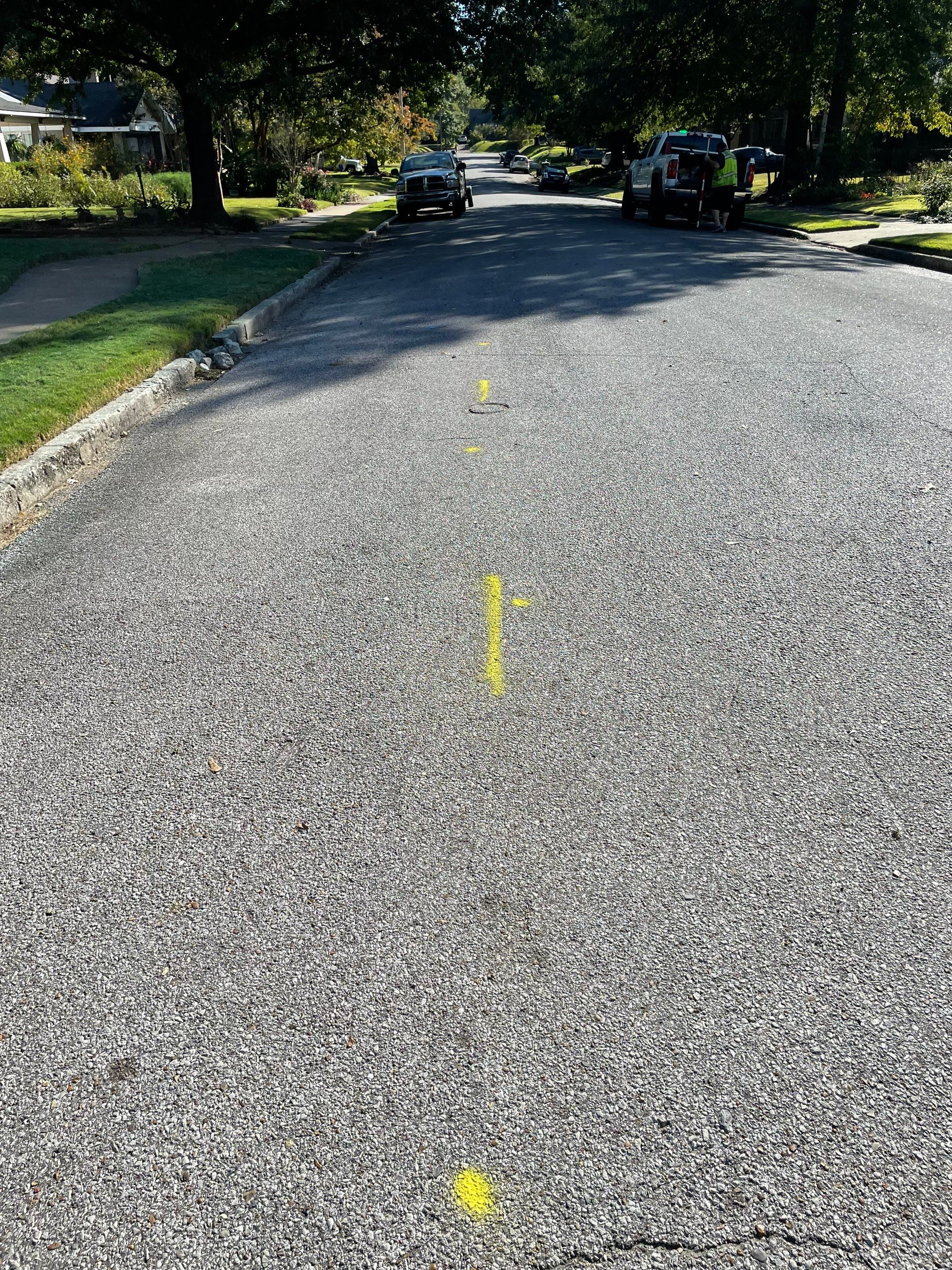 Utility Locate for Survey Purposes by Alsip Locating Service, LLC