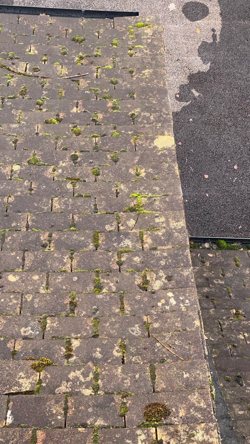 Roof Clean - Biocide Treatment using Honda 15lpm Low Pressure Washing Machine by Ges Exterior Cleaning ltd
