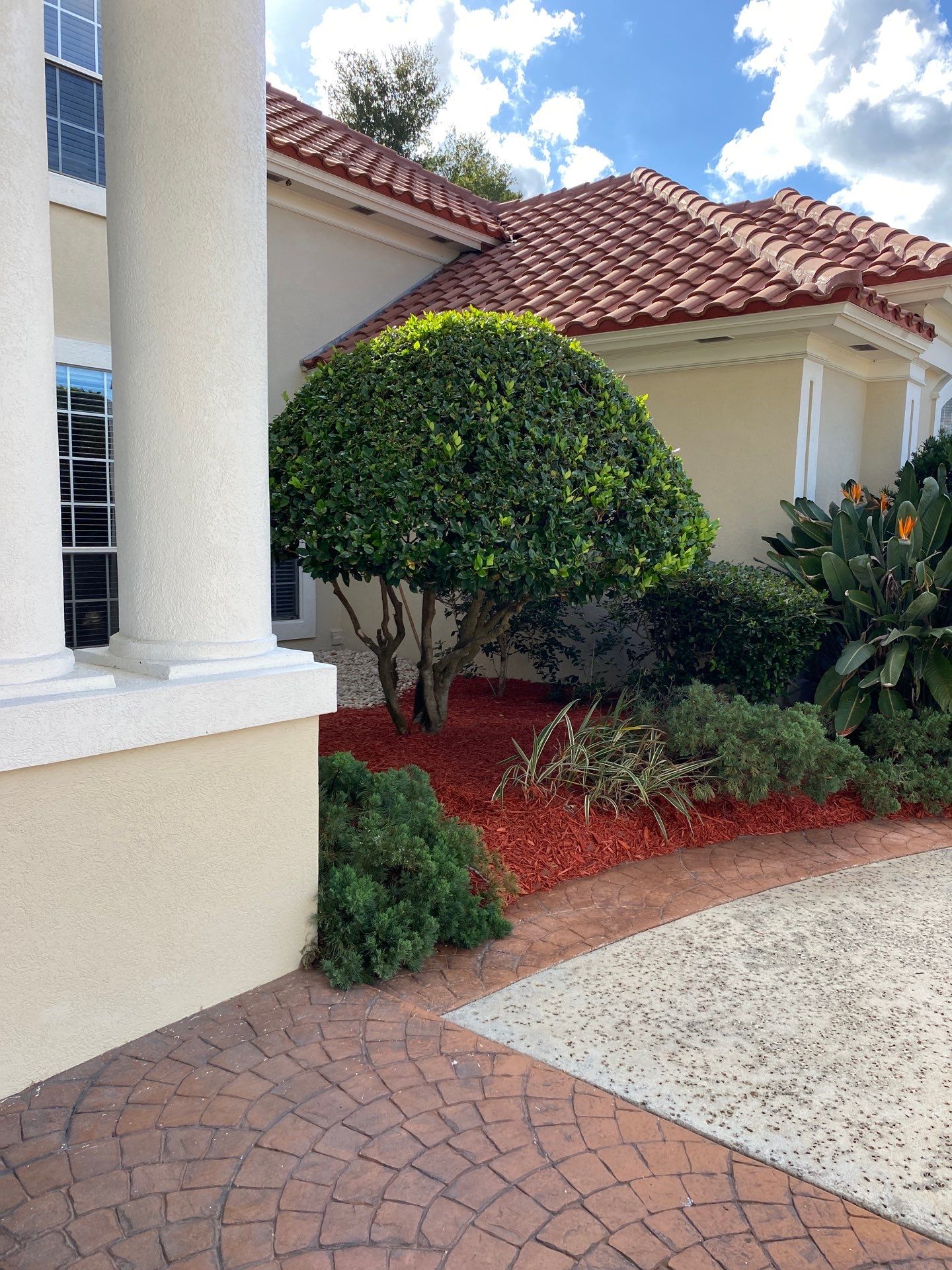 Deerwood Resident | Palm Trimming & Ground Cover by ProGreen Services