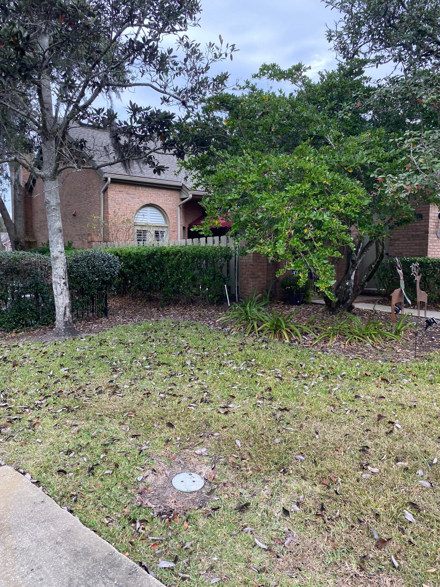 Deerwood Pointe | Tree Removal & Pine Straw Installation by ProGreen Services