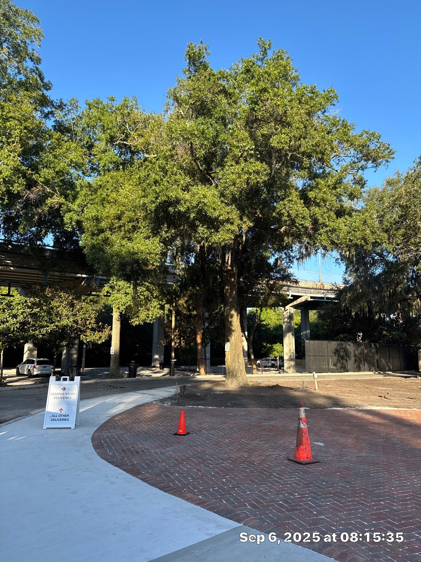 Welcome Center Tree Removal | Episcopal School of Jacksonville by ProGreen Services