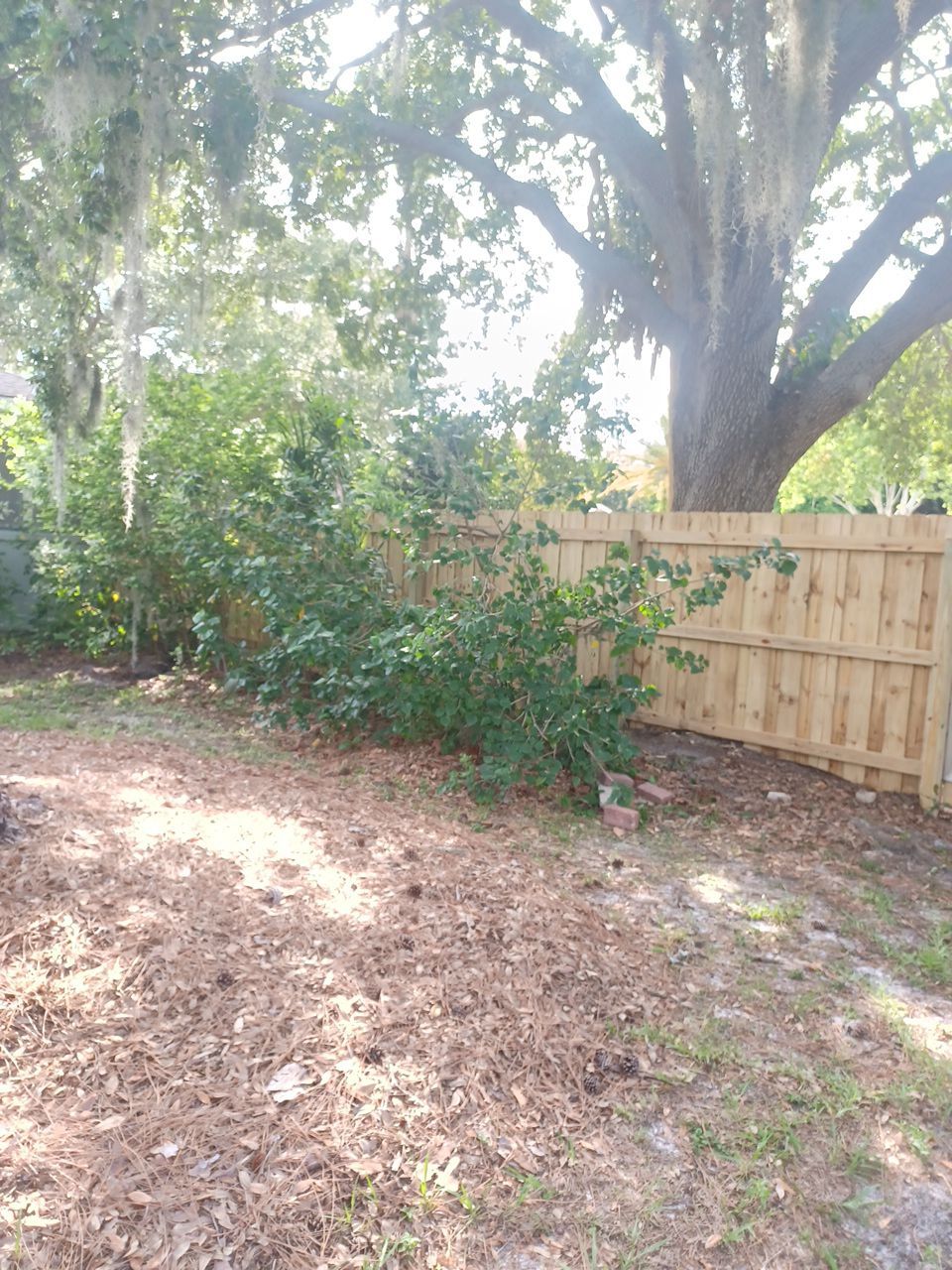 Sarasota, FL 6ft. Tall Treated Board on Board Wood Fence by Asap fence and gates, LLC
