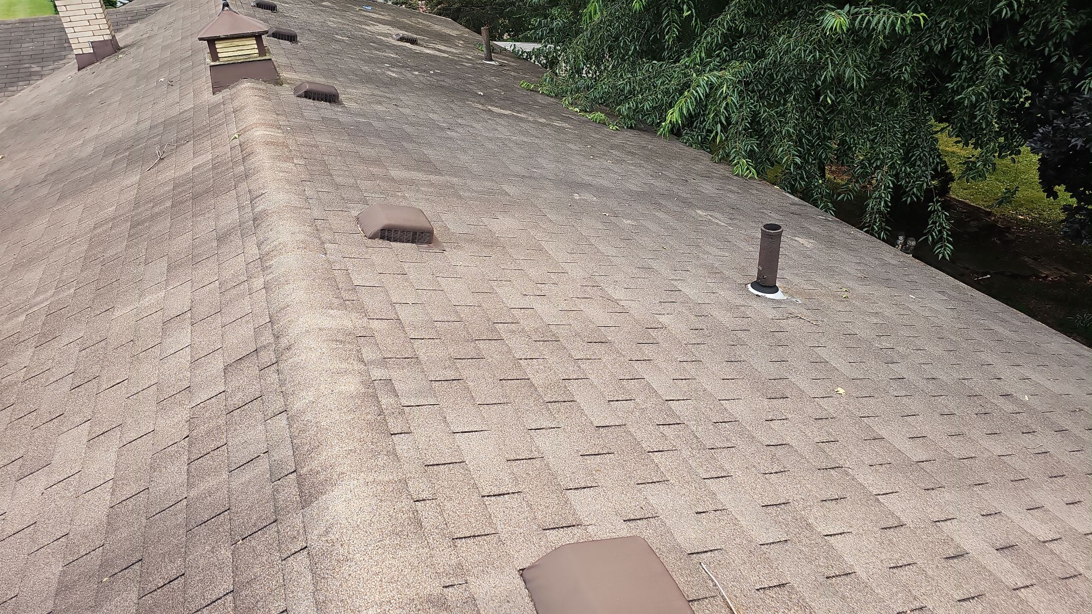 ATLAS PINNACLE COLOR: BURNT HICKORY by Eagle Eye Roofing