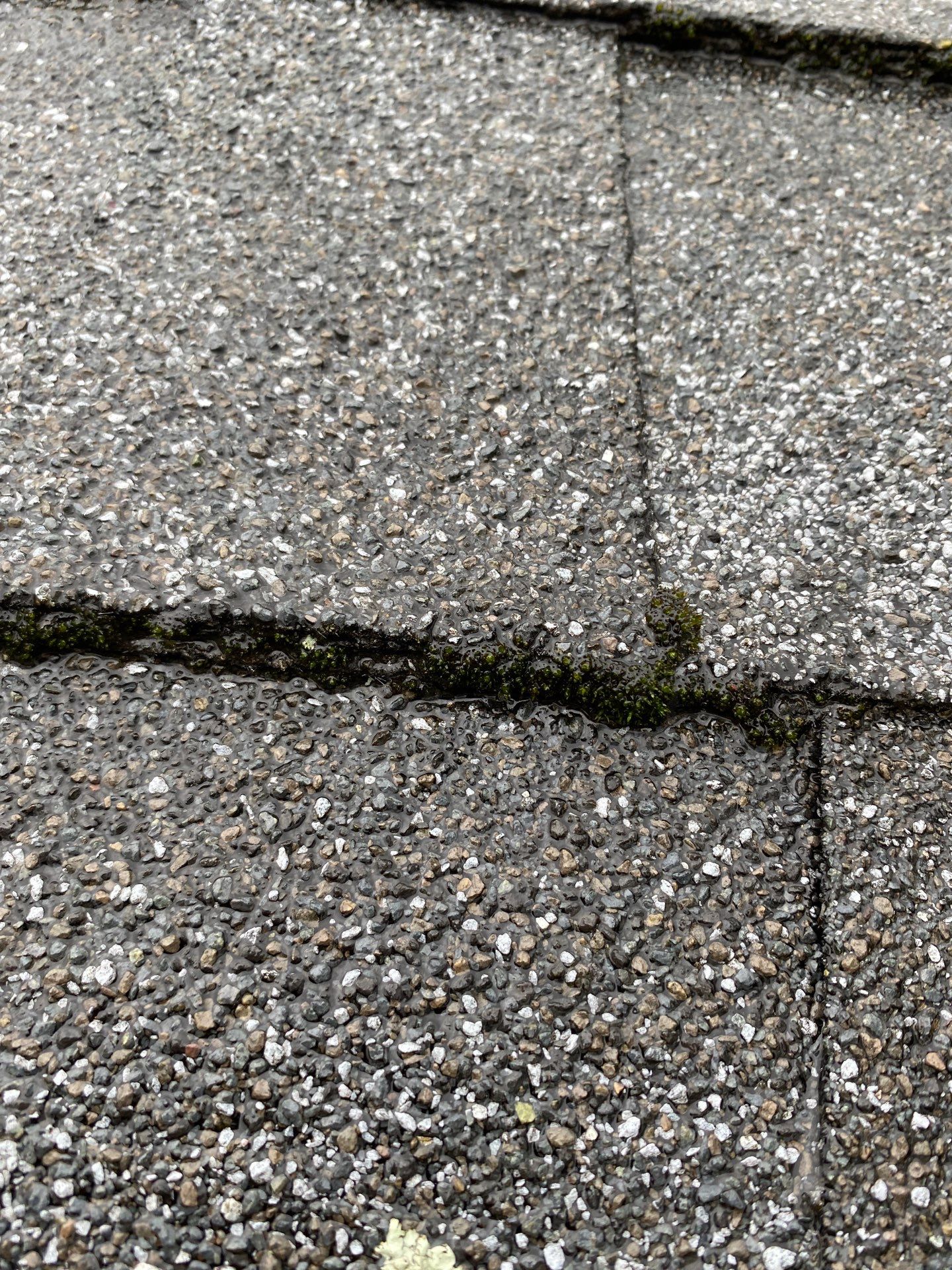 Gutters | Arlington by Mighty Dog Roofing of Greater Middlesex County