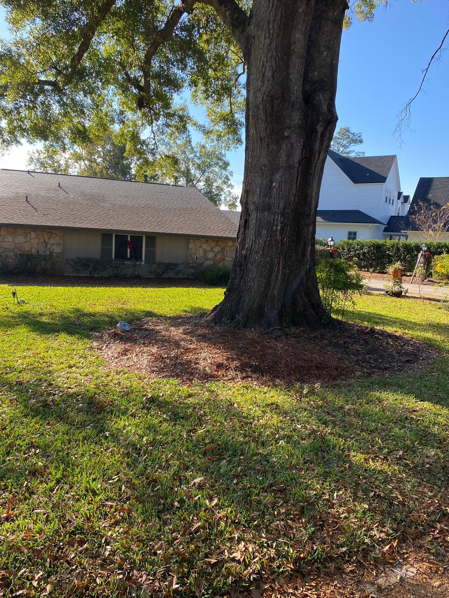 Deerwood Resident | Mulch Freshen Up Project by ProGreen Services