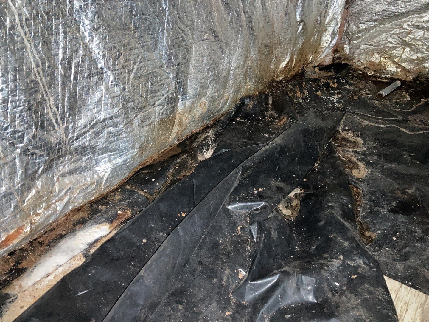 Crawl Space Cleanup  by Accountable Home Services