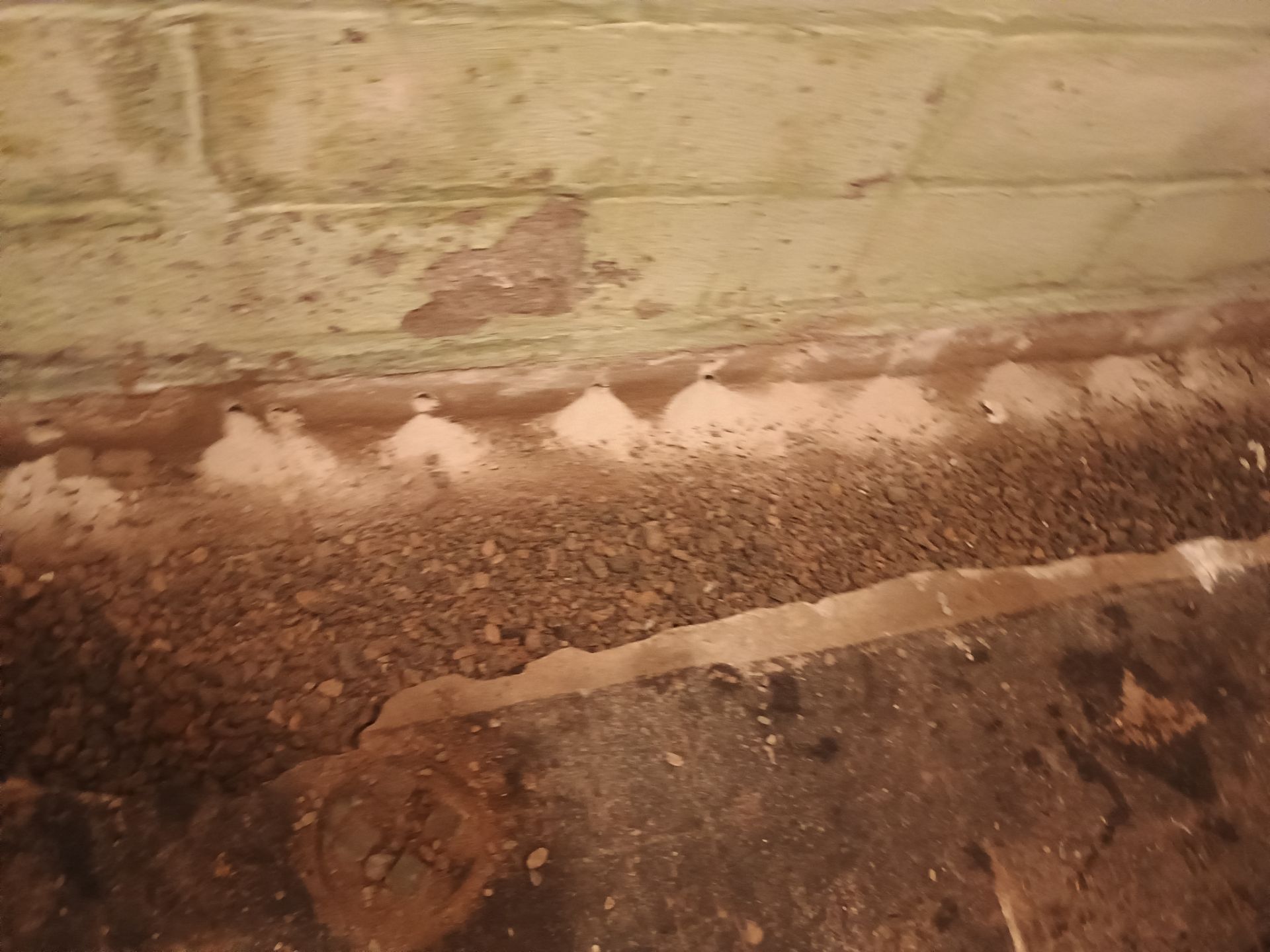 Matt's Remodel by Waterproofing Northeast