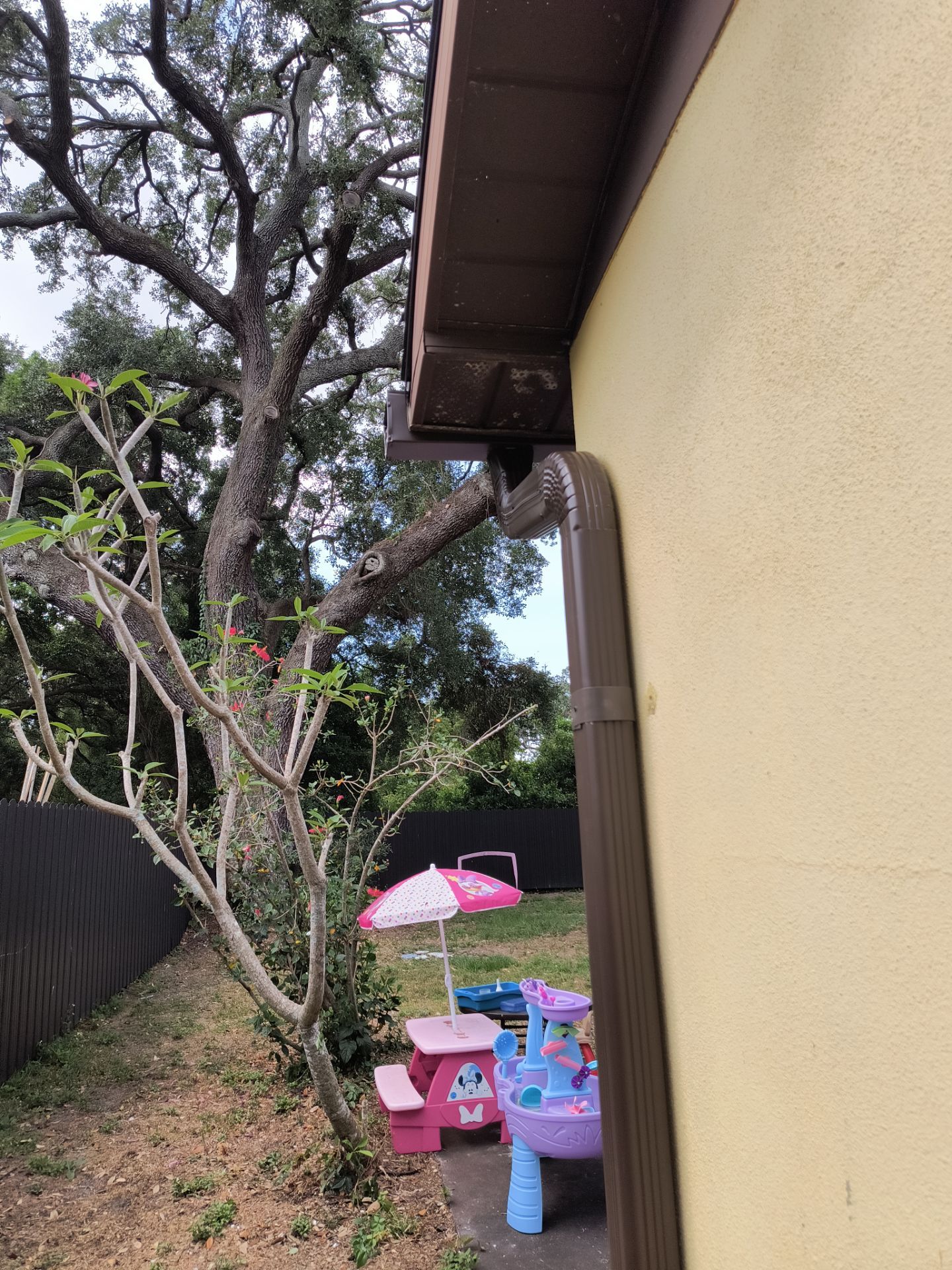 Musket Brown 6-Inch Gutters in Tampa FL by Gutter Professors