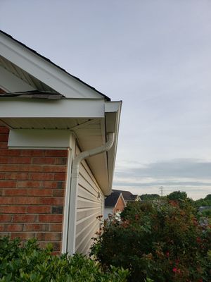 House Wash using cleaner