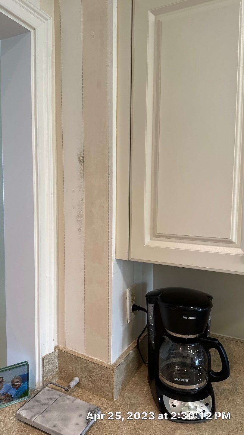 Humidity Bloom that caused mold to Grow by Building performance Solutions LLC