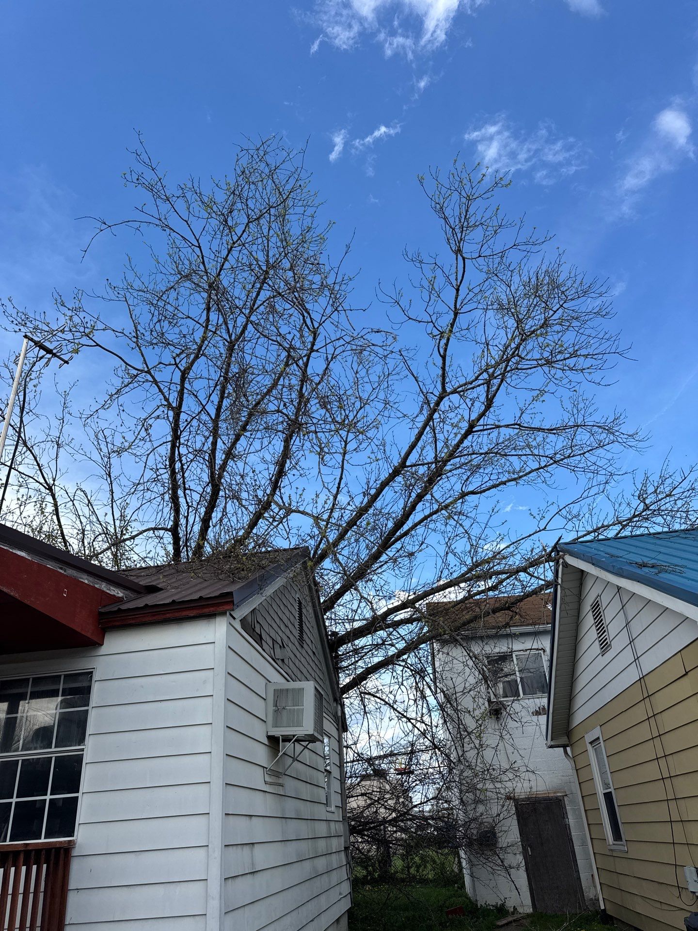 Project in Nitro, WV 	Rotator Crane Lifts Tree Off House | Nitro WV 	•	One Wrong Move Job | Rotator Crane Tree Removal 	•	Heavy Rescue Tree Job | Nitro WV 	•	Extreme Tree Removal Over Home | Nitro WV by Jones Empire LLC