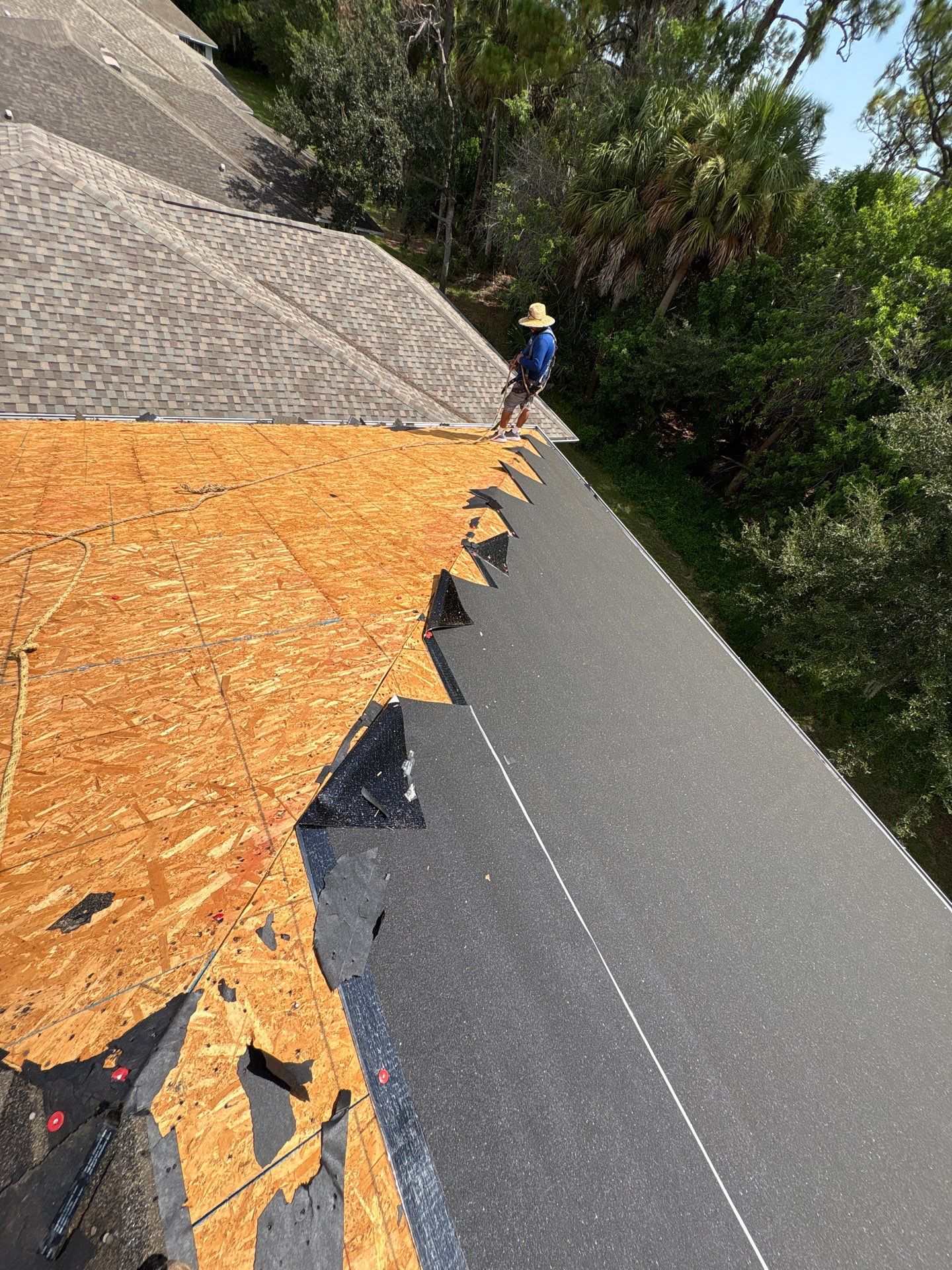 Palm Bay Roof Replacement Featuring Tamko Titan XT Shingles by Pinnacle Roofing Group