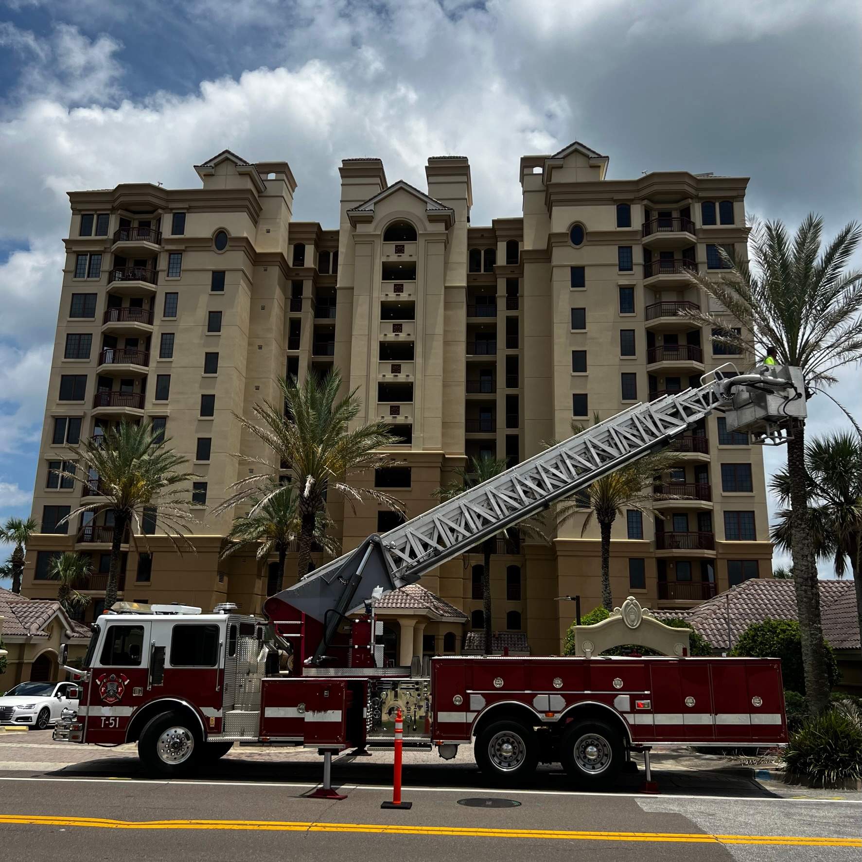 Palm Trimming | Landmark Condominiums by ProGreen Services