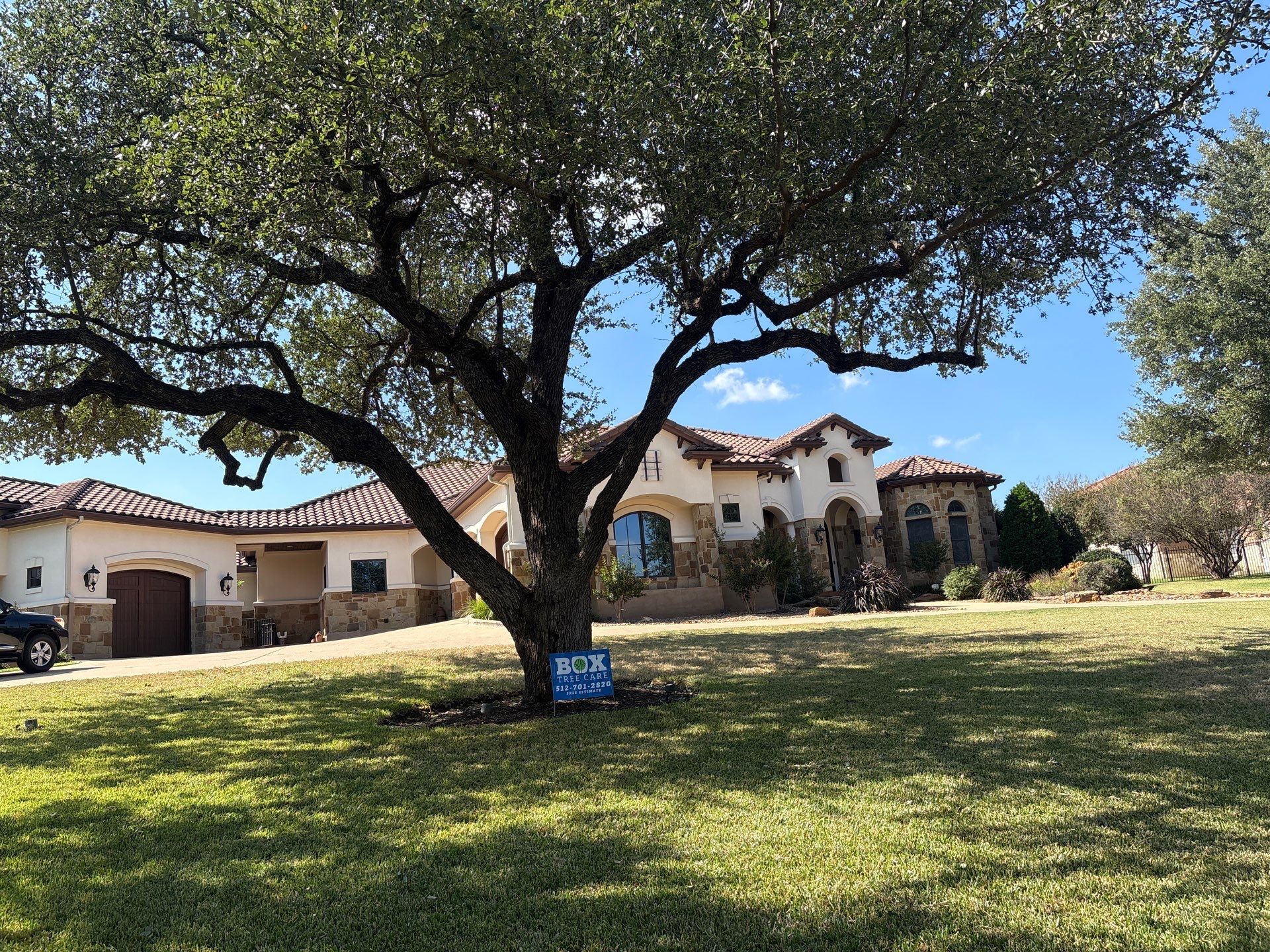 Tree Trimming & Pruning  by Box Tree Care 