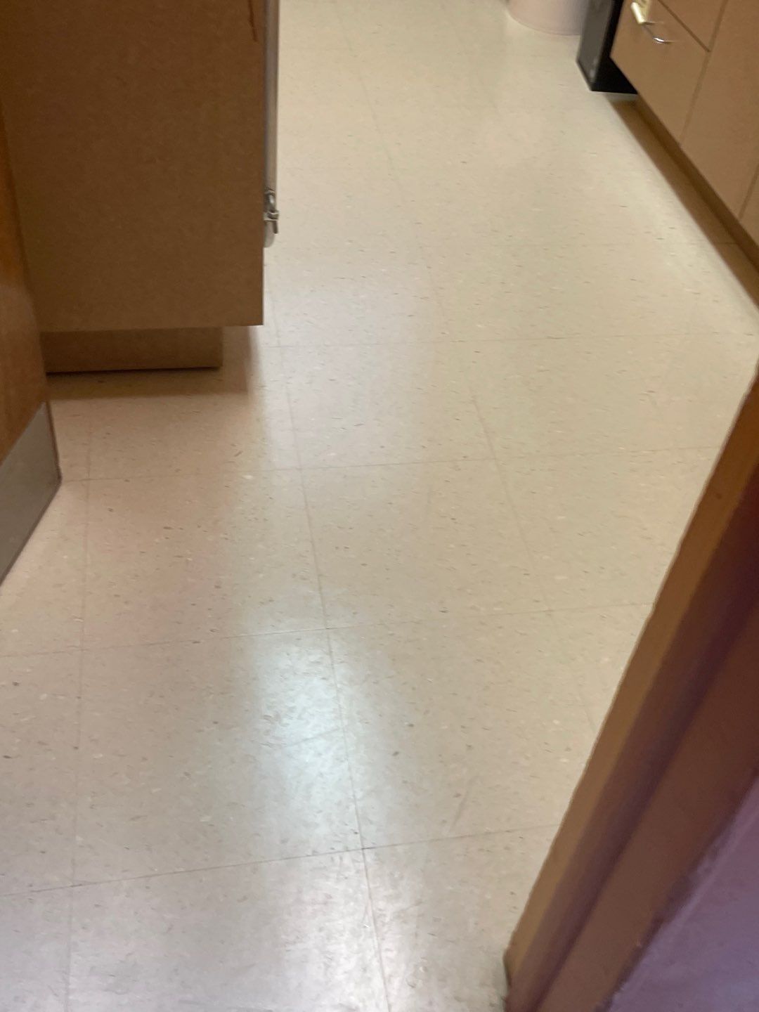 Cat Hospital Project in Pittsburgh by Floors in a Day, Inc