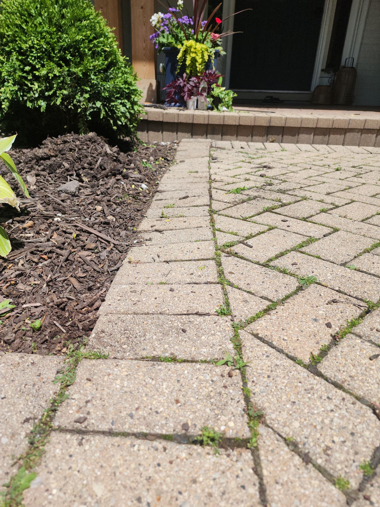 Brick paver repair, cleaning and sealing by Northern Power Washing LLC.