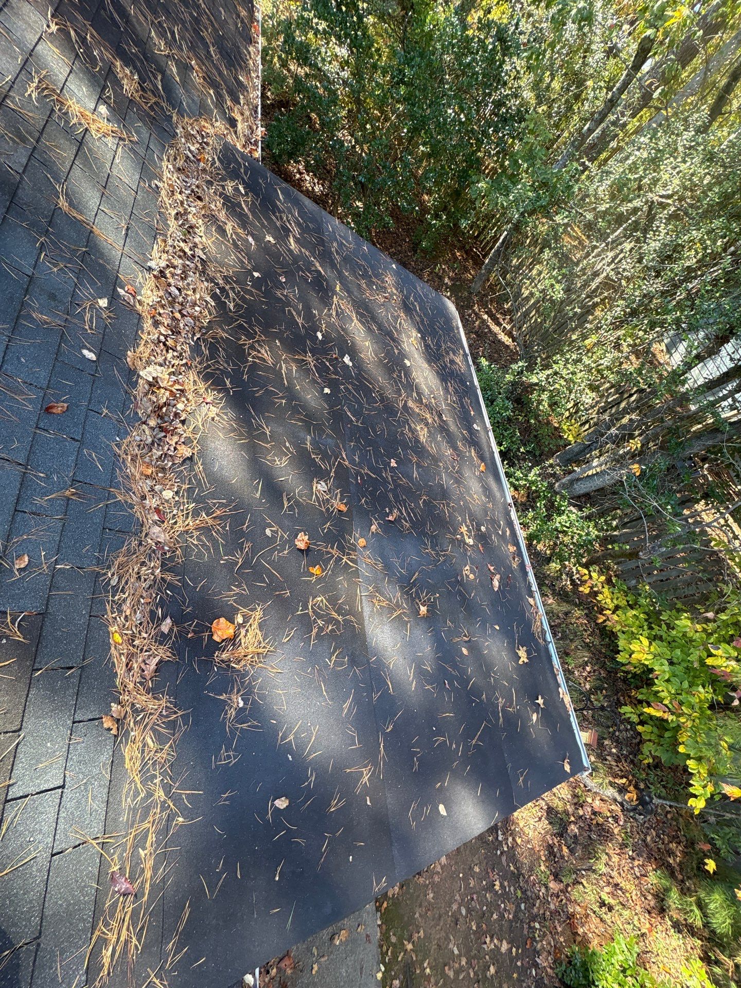 Leak-Free Roof & Skylight Removal š ⨠by Georgia Roof Advisors