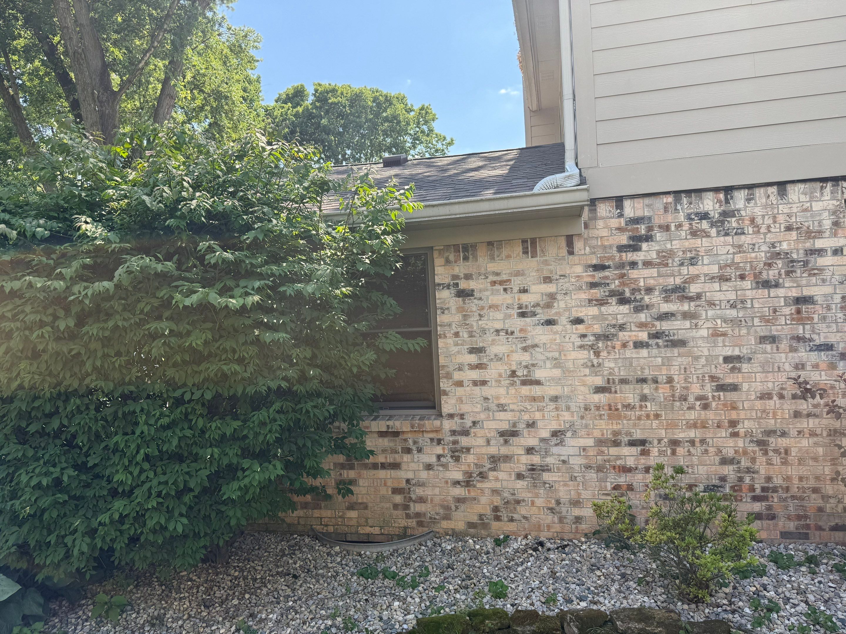 Roof Replacement by 317 Roofing & Restorations