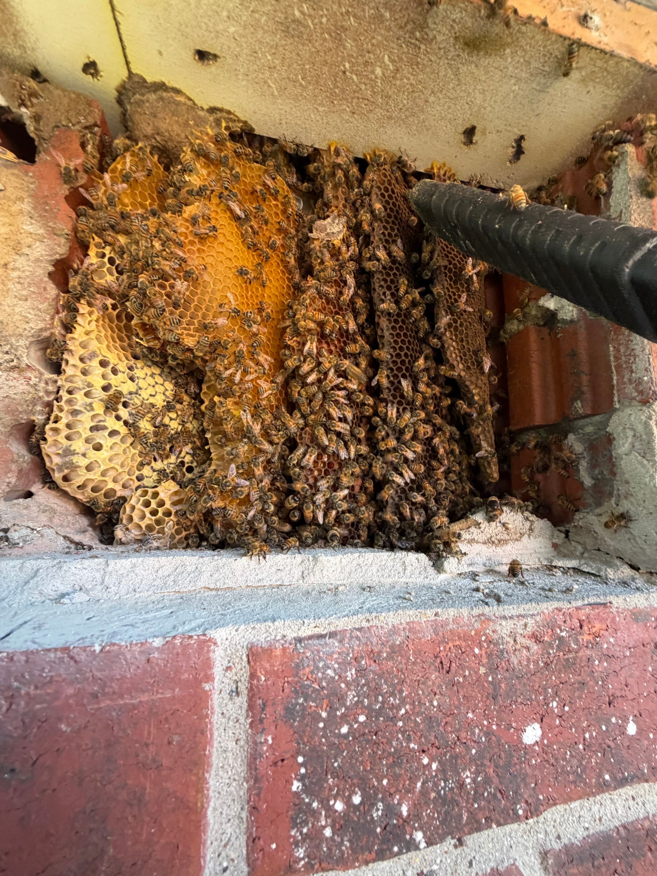 Brick Column by Rockwall Honey Bee Company