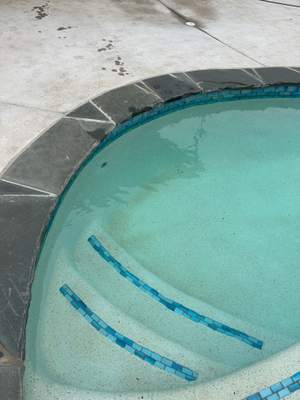 Freeform Pool on Open Acreage