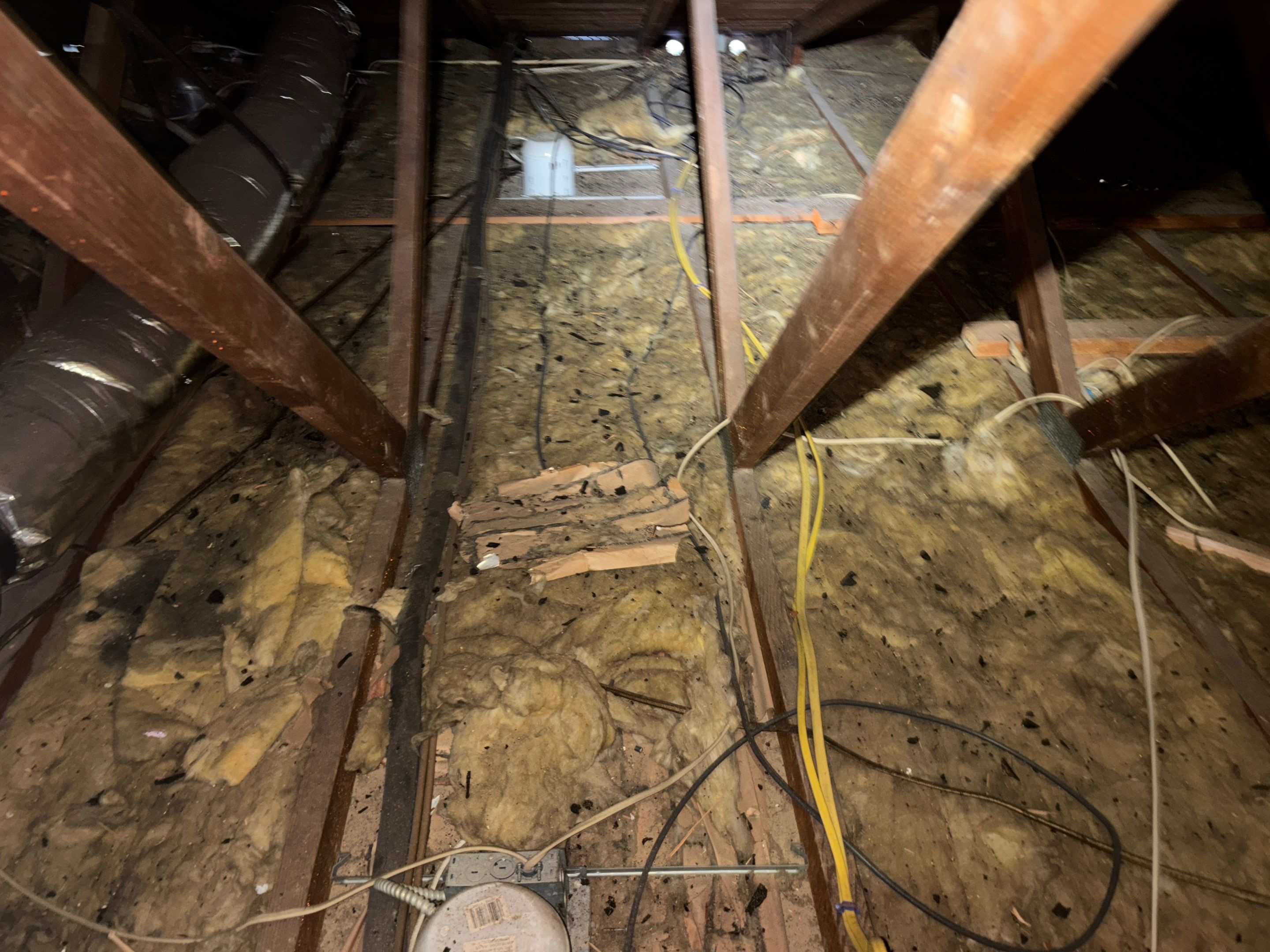 Project in Carson by Insulation Labs