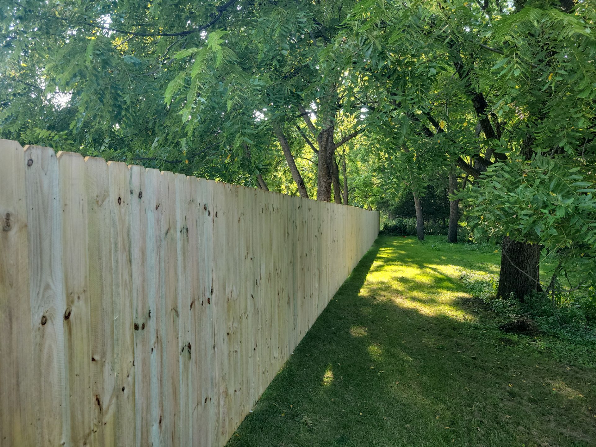 Pressure-Treated Wood Privacy Fence Replacement in Cedar Falls by Perfect Picket Fence and Stain