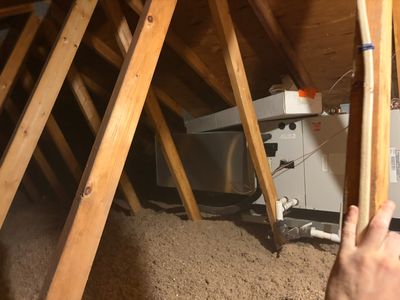 Project in Oxford
