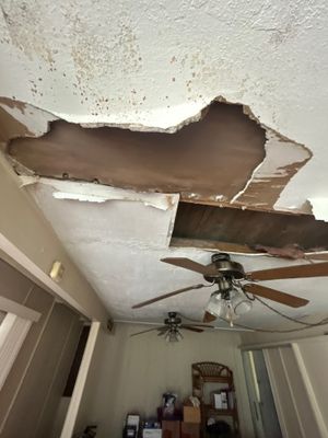 Water Damage Repair In Bradenton, FL