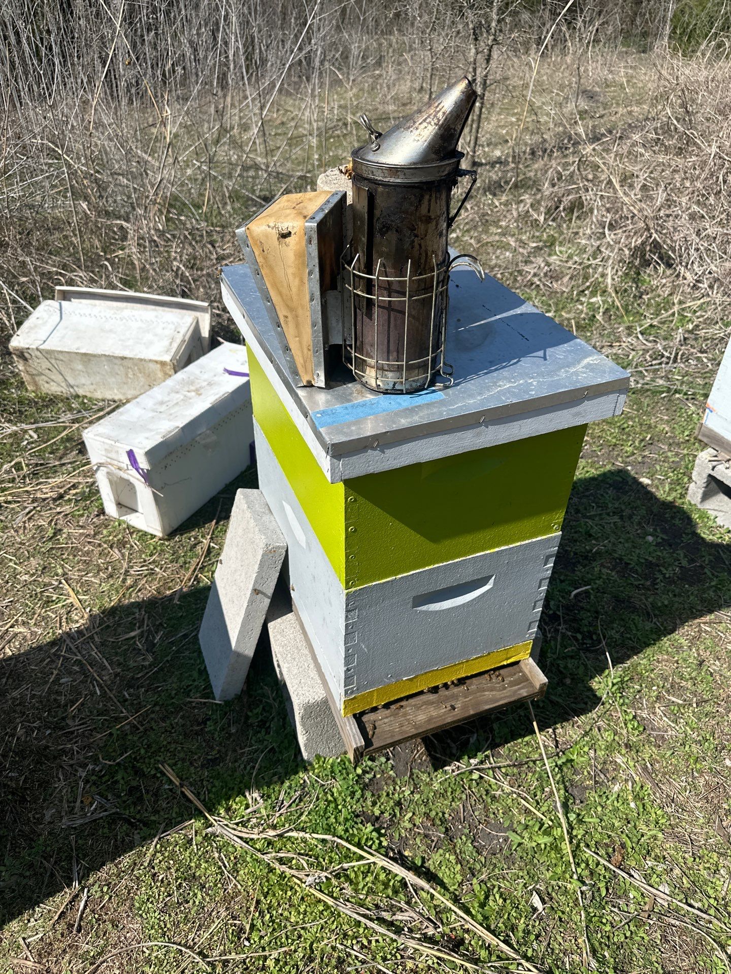 Ag. Exemption in Fate, TX by Rockwall Honey Bee Company