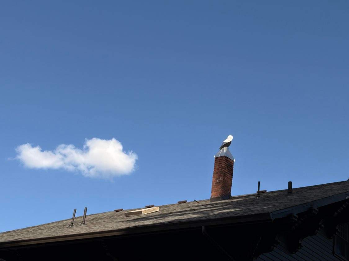 Roof & Gutter Cleaning