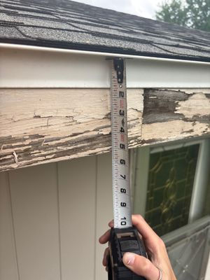 Project in St. Cloud