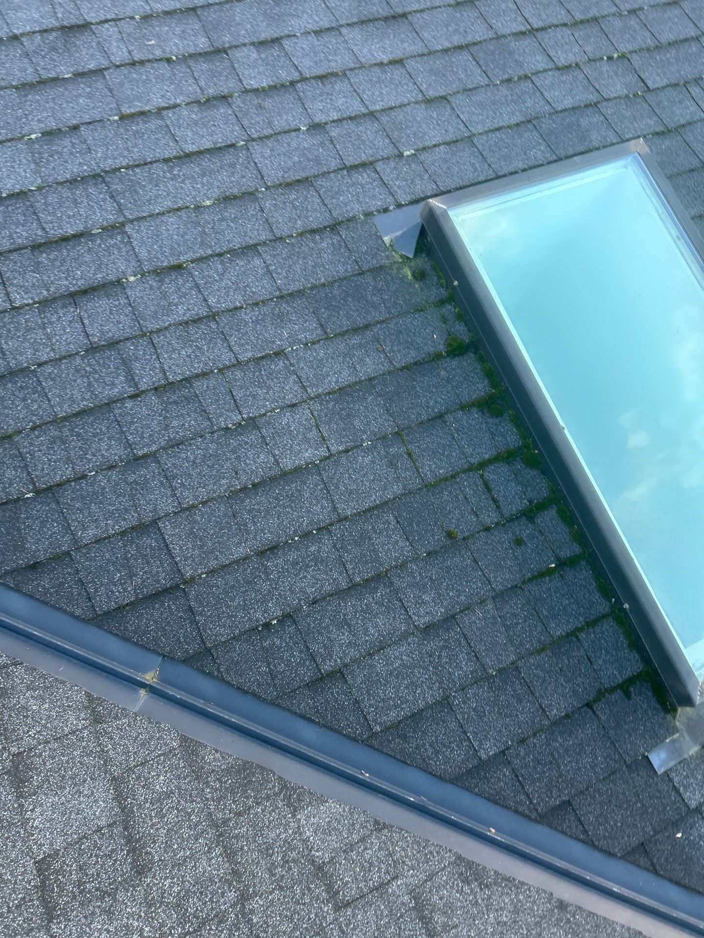 Project in Snohomish by Connolly Construction Company