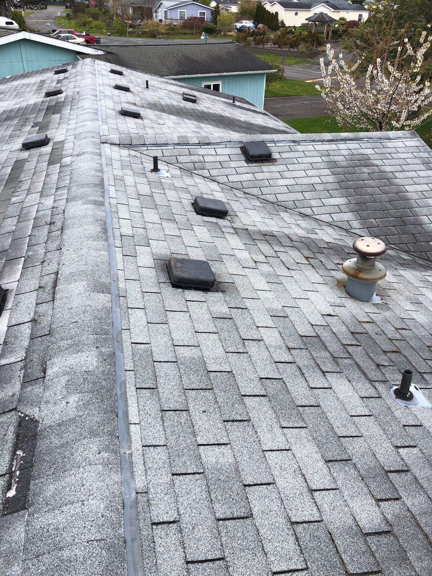Project in Blaine by Peaks and Valleys Construction
