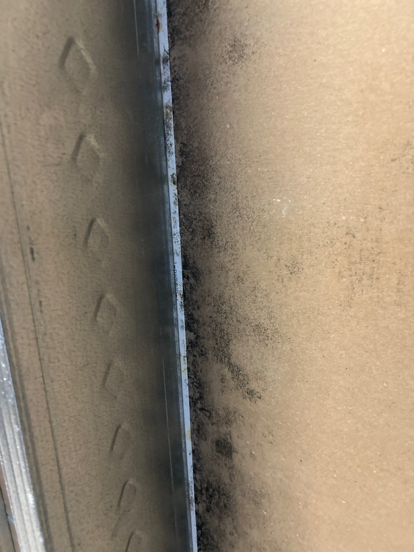 Parrish Mold Removal & Remediation  by Ampm Restoration Services 