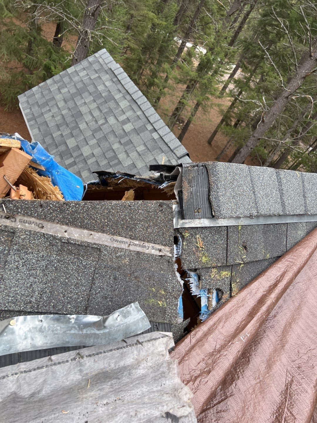 Green Snap Lock Standing Seam  by Montana Roofing Solutions