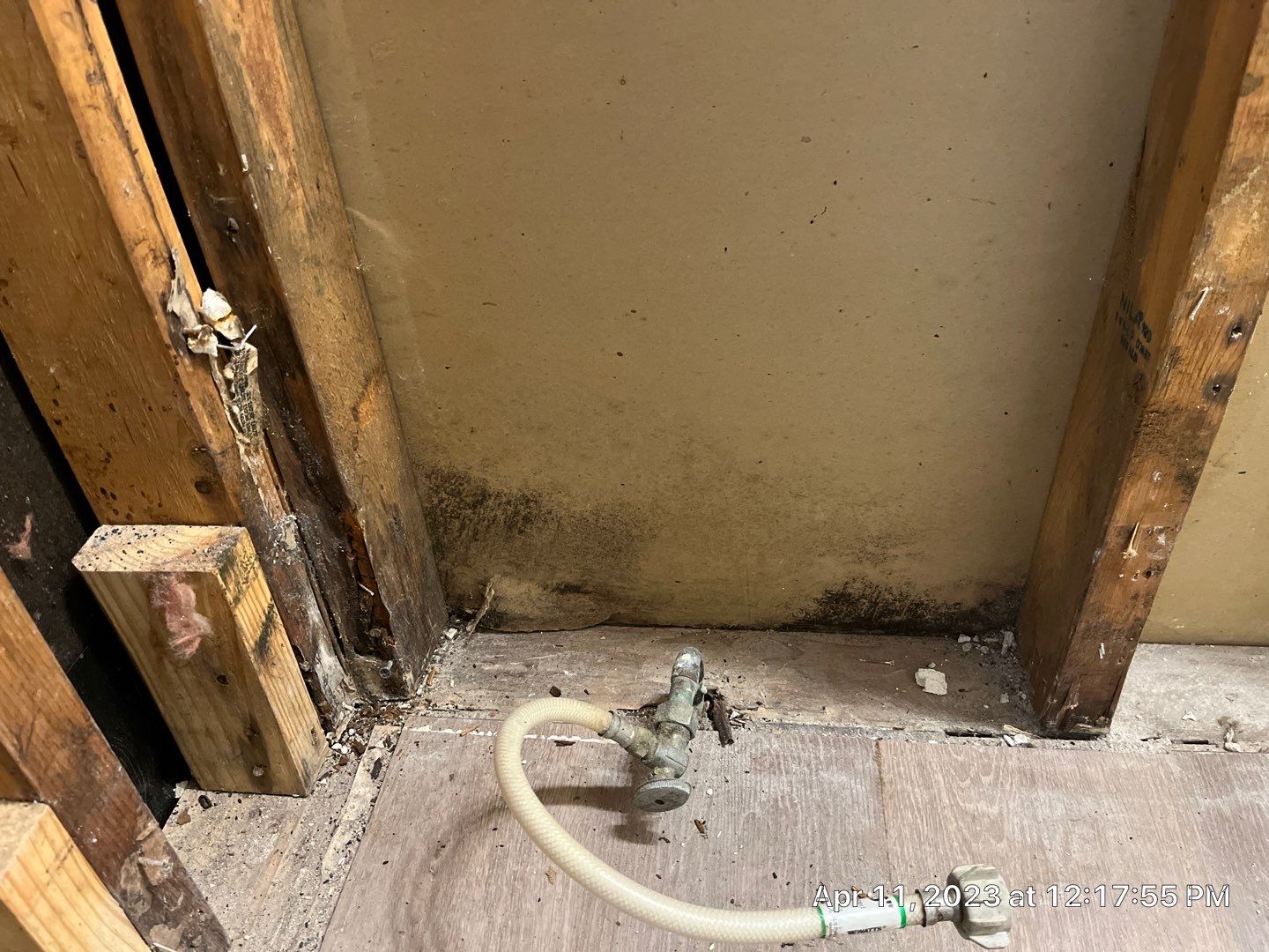 Water Damage Restoration - Mold Remediation and Asbestos Abatement by EAS Environmental, LLC.