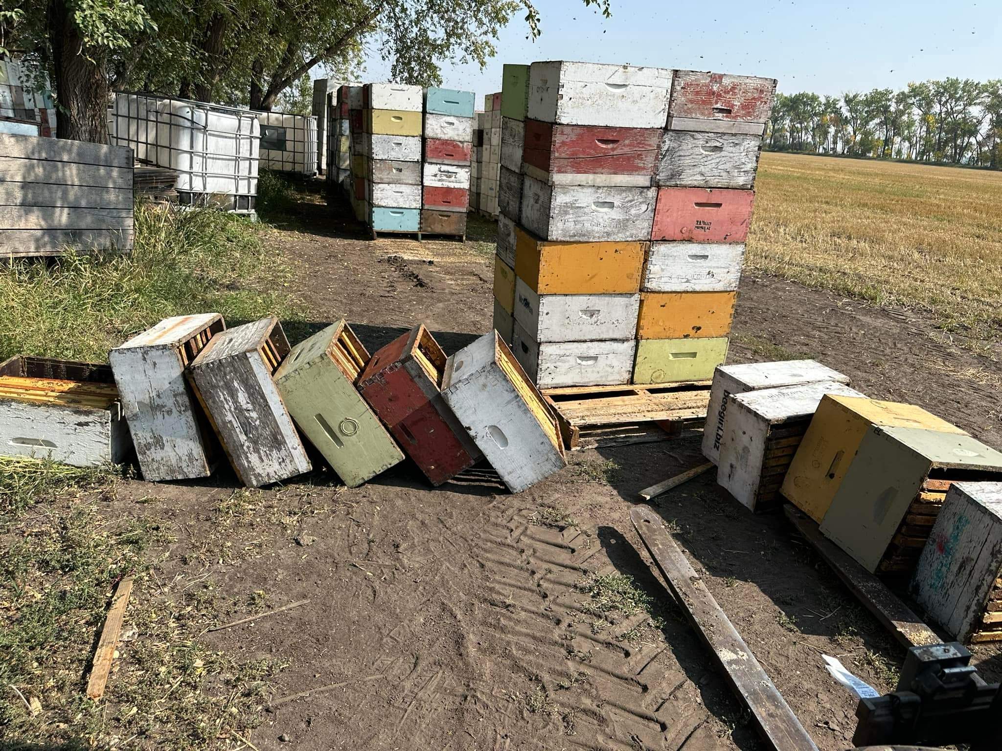 BeeGirl's Honey House in the Midwest by Rockwall Honey Bee Company