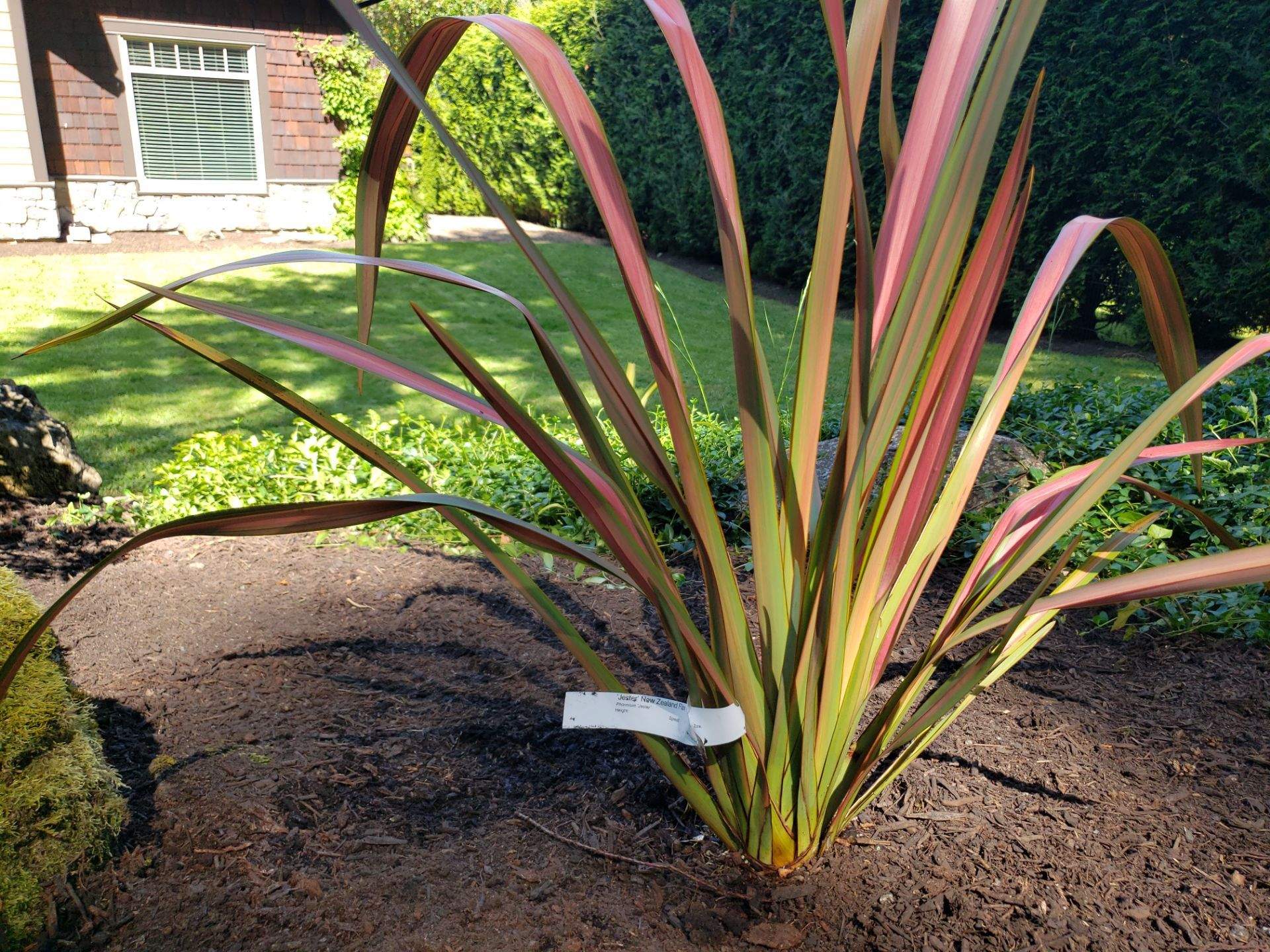 Garden Care - North Saanich Residence by Habanero Garden and Exterior Care