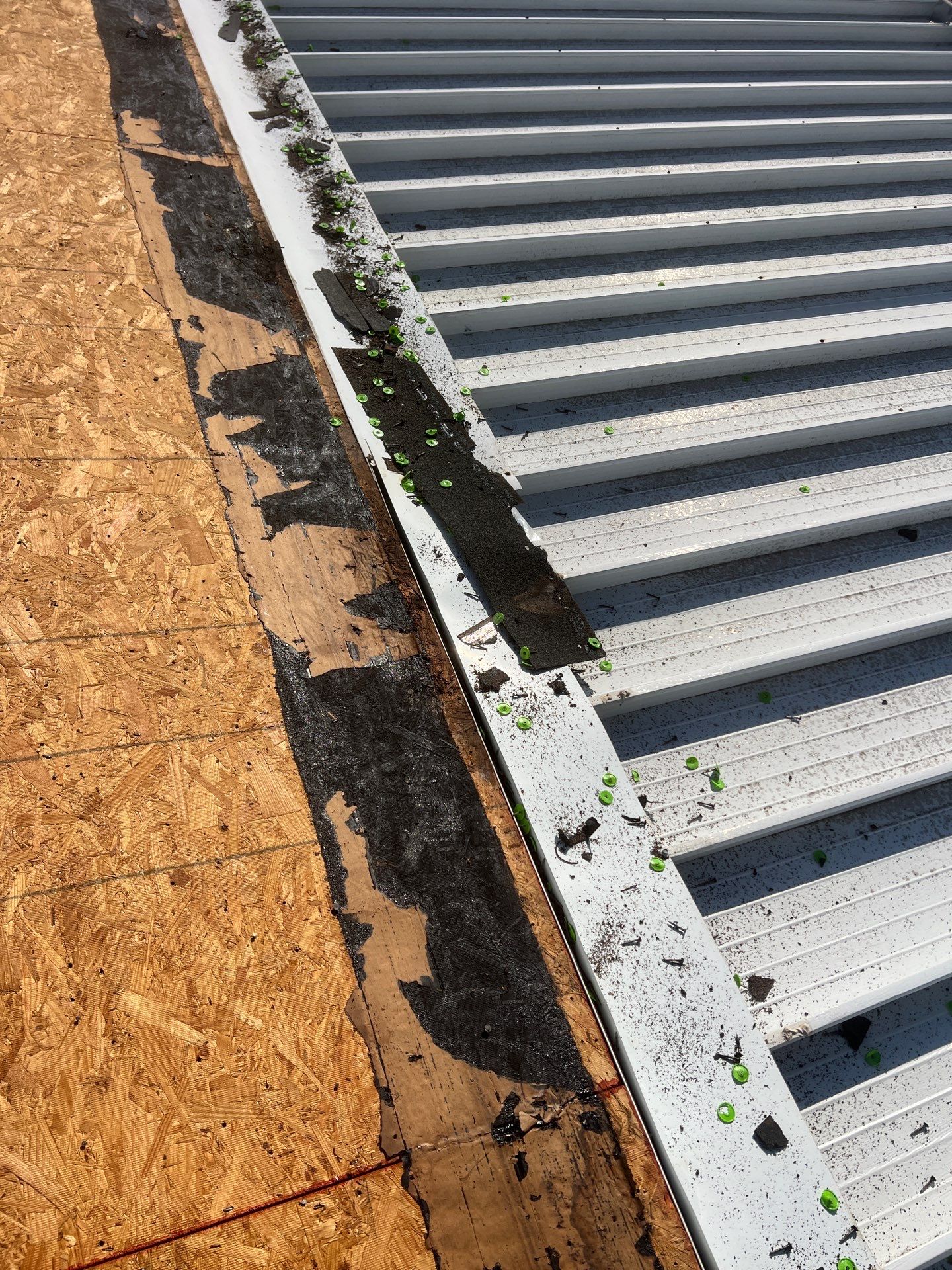 Trailer Park Treasure! by Bayfront Roofing and Construction