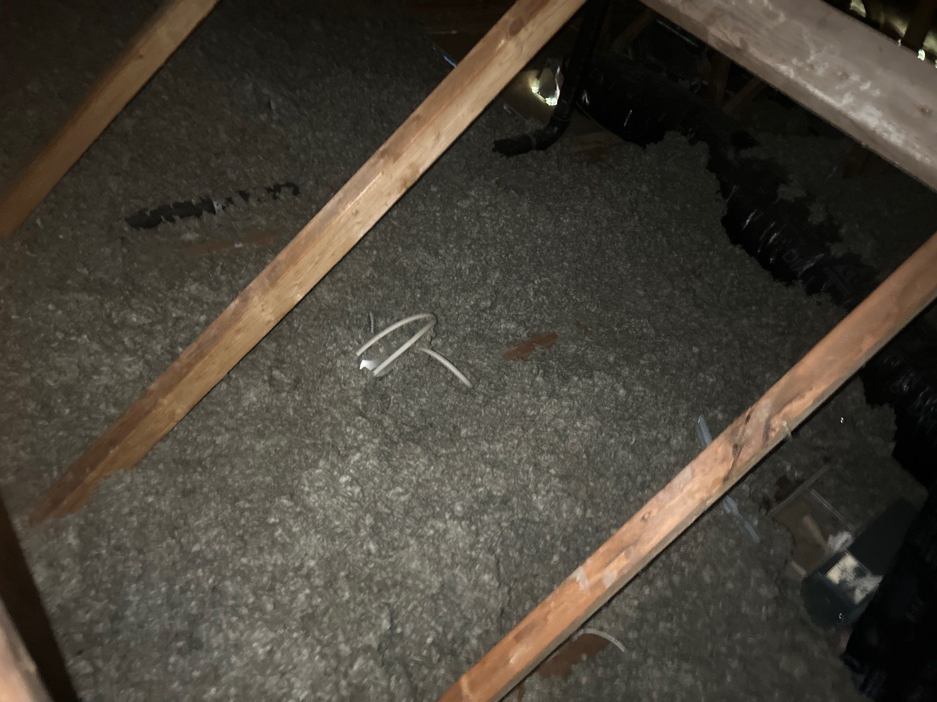 Project in Bellevue by Connolly Construction Company