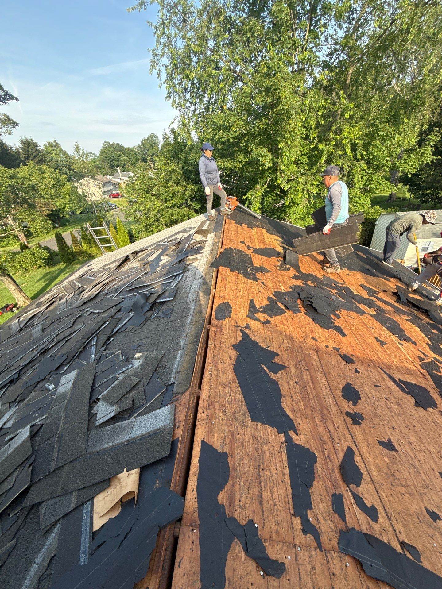 Wolcott by All site builders LLC