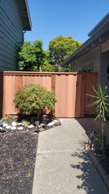 LAP FENCE W/ BOXED GATE