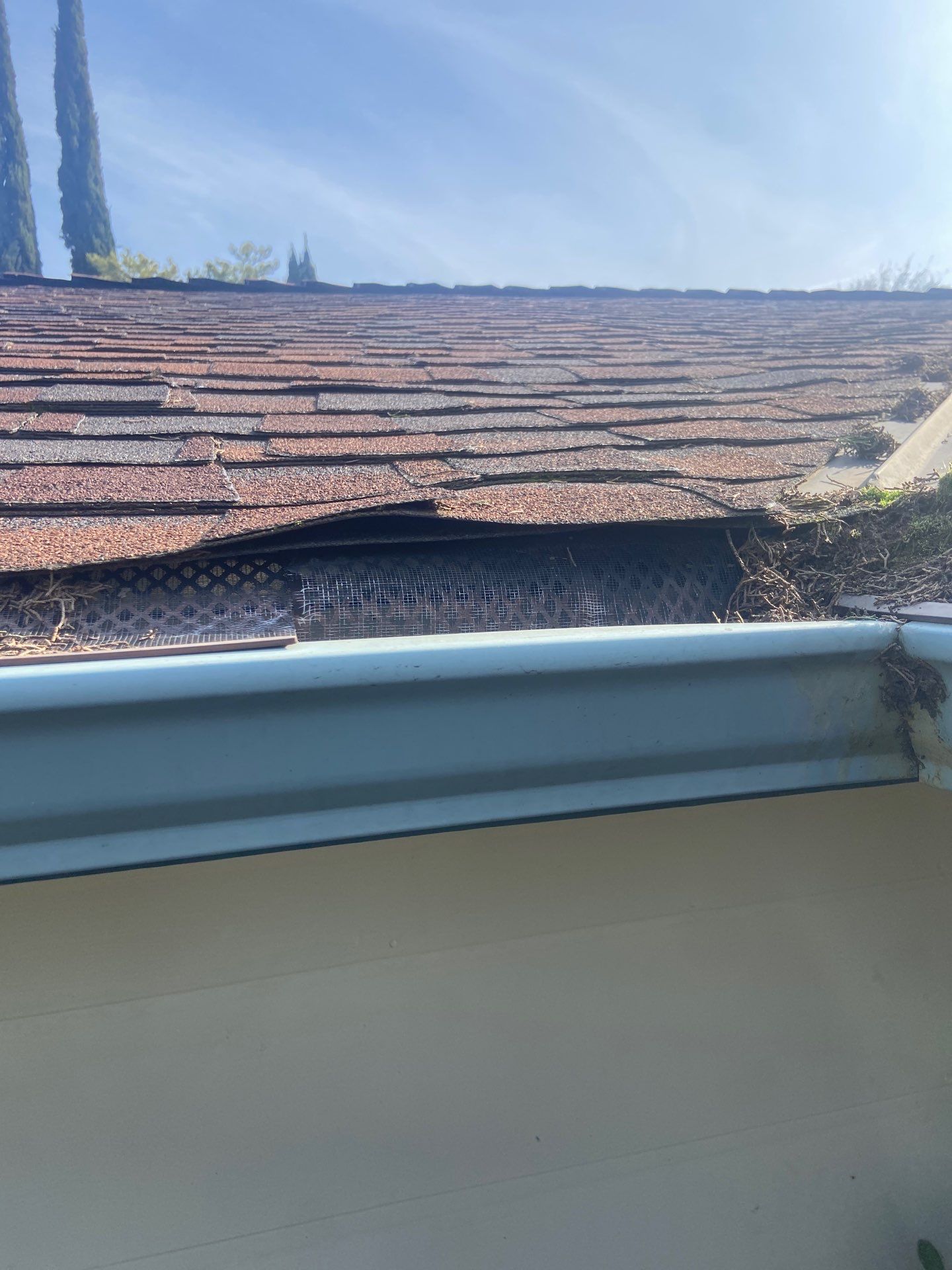 Roof Rejuvenation using Roof Maxx Treatment by Roof Maxx of Folsom
