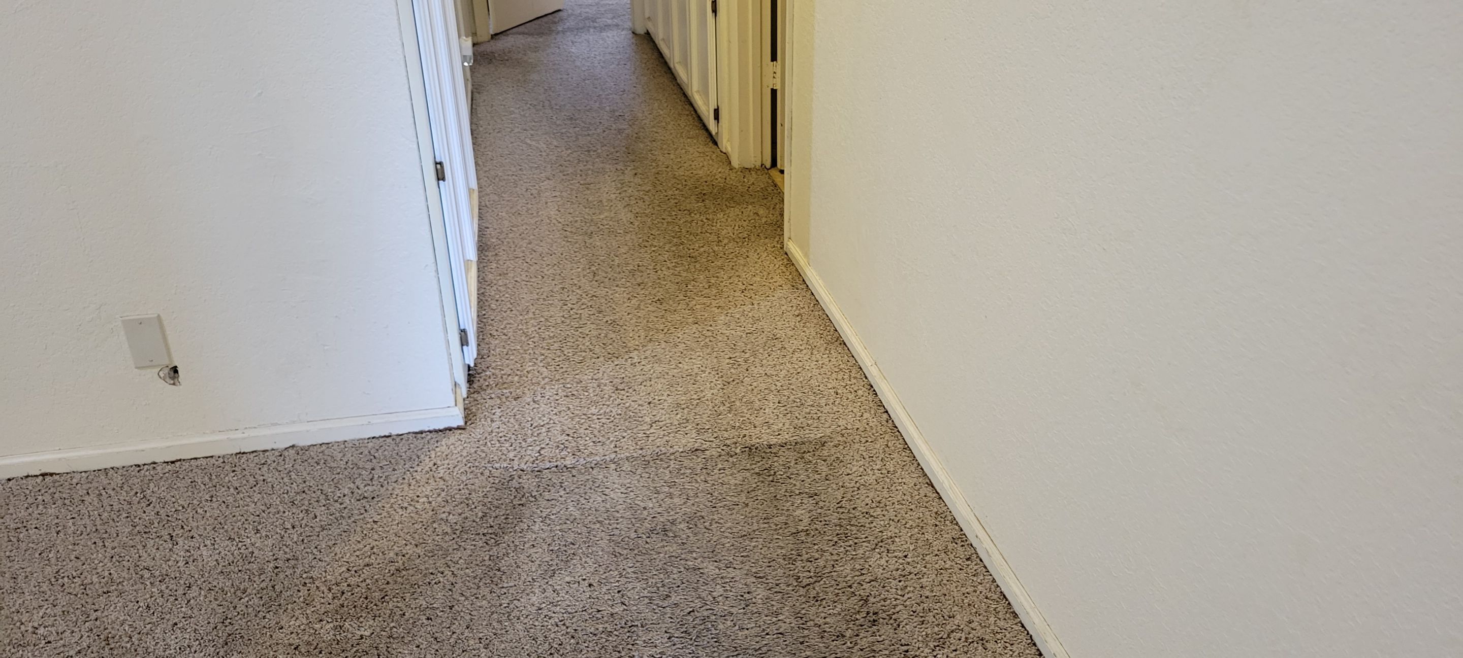 Carpet Padding Replacement and Heavy Carpet Clean by Ardent Carpet Restore LLC
