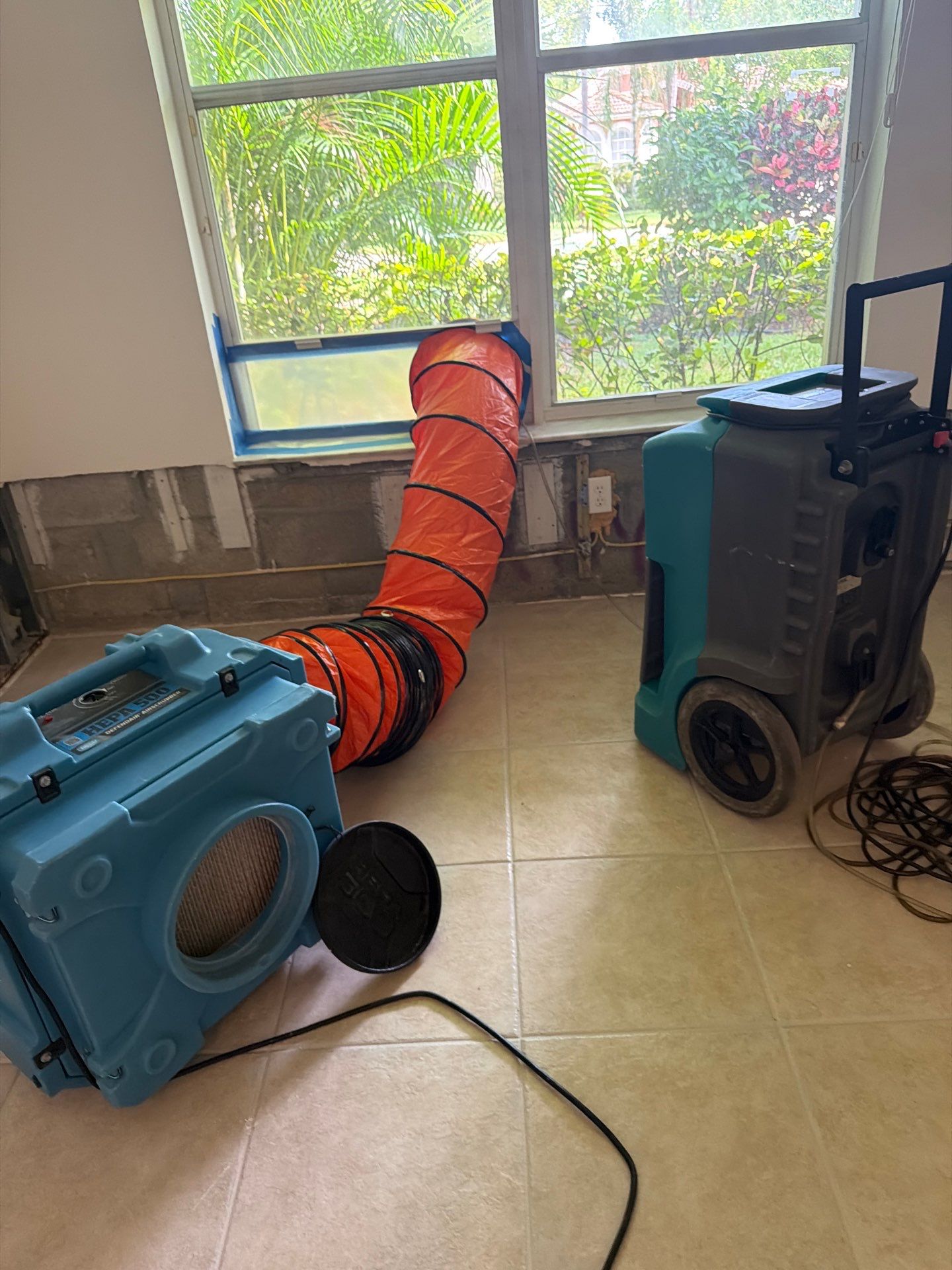 Professional Mold Remediation and Structural Drying in Wellington by SuperClean 